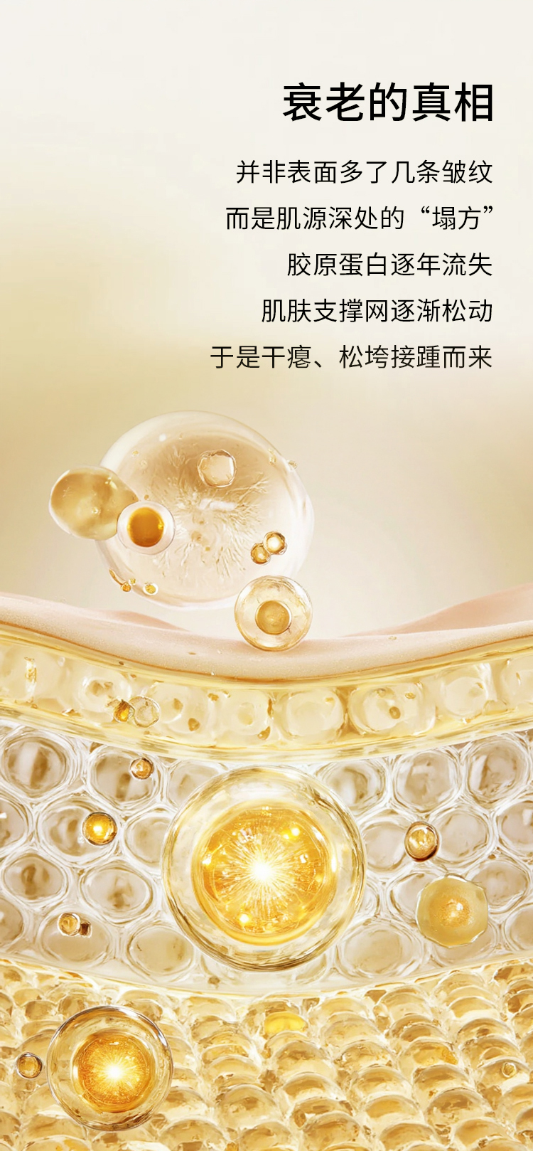 人参皂苷悬油精华液推文_03.jpg
